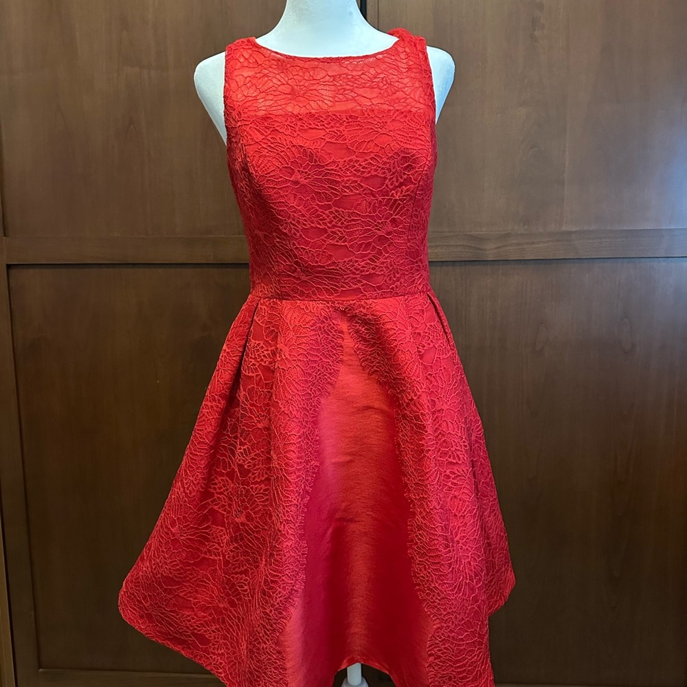 Monique Lhuillier Elegant Red Lace Homecoming Dress